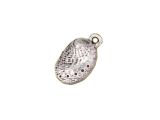 Charm Abalone Shell Silver Plated
