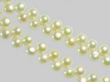 Freahwater Pearls Topdrilled Creme