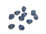 Glass Beads Sea Shell blue-grey 10 pcs.