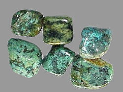 african Turquoise
